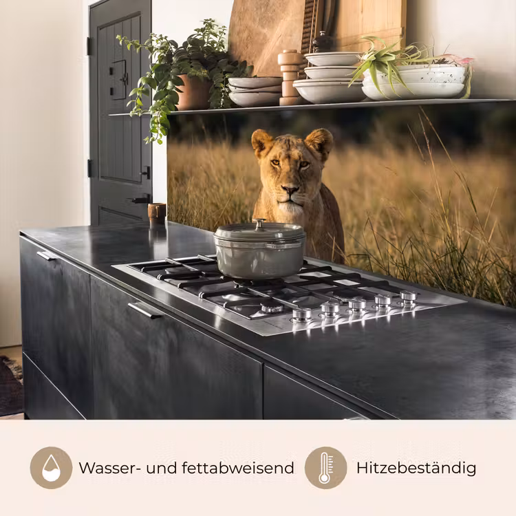 Leeuwin - Gras - Geel keuken achterwand 2 middel -usp_DE