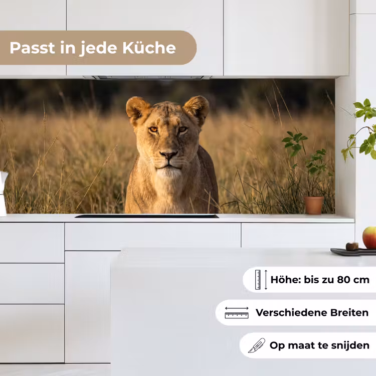 Leeuwin - Gras - Geel keuken achterwand 2 middel -sfeer4_DE