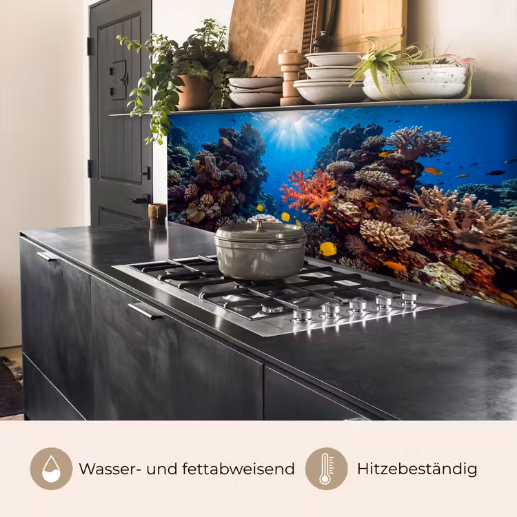Zee - Koraalrif - Natuur - Levendig - Blauw keuken achterwand 2 middel -usp_DE