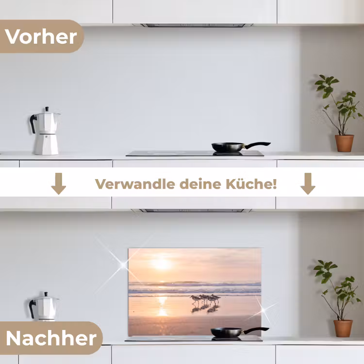 Zee - Vogels - Strand keuken achterwand spatscherm klein -voor_na_DE