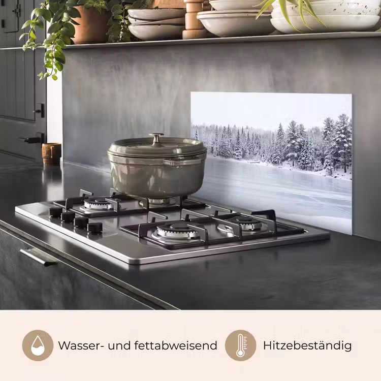 Meer - Dennen - IJs - Winter - Rustgevend keuken achterwand spatscherm klein -usp_DE