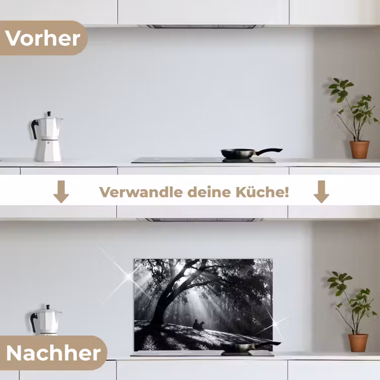 Mens - Hond - Natuur - Zwart-wit - Silhouet keuken achterwand spatscherm klein -voor_na_DE