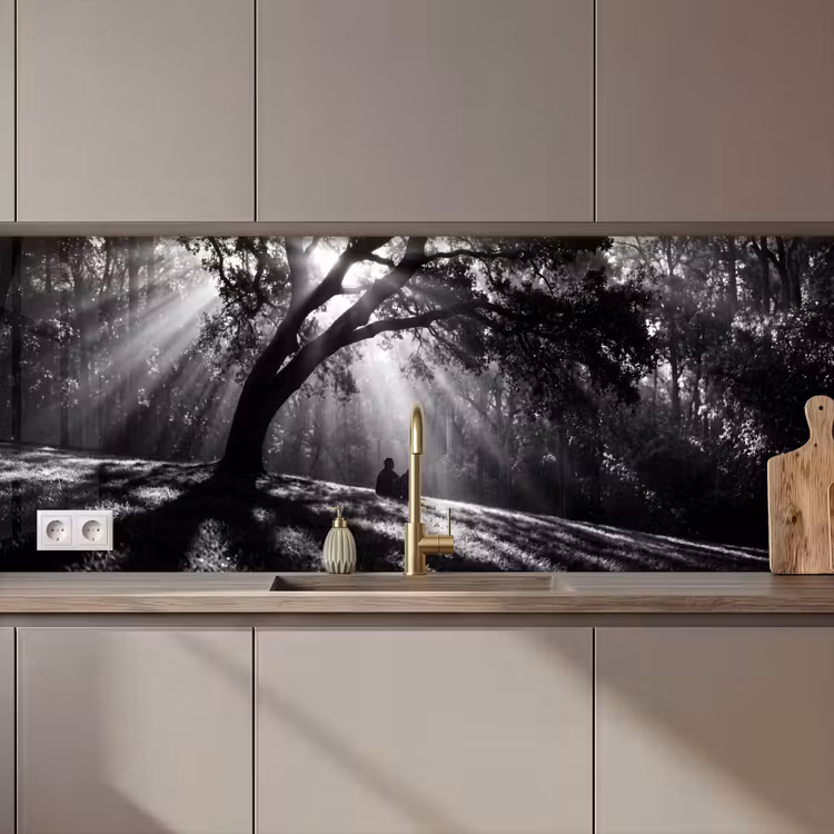 Mens - Hond - Natuur - Zwart-wit - Silhouet keuken achterwand 2 middel zz_3dshopping