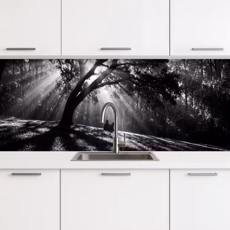 Mens - Hond - Natuur - Zwart-wit - Silhouet keuken achterwand 2 middel -3d
