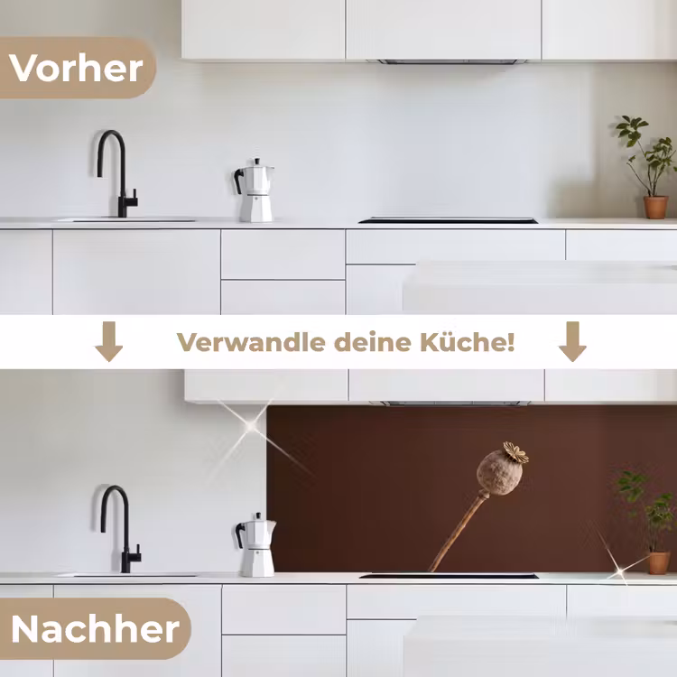Papaverbol - Droogbloem - Bruin - Minimalistisch keuken achterwand 2 middel -voor-na_DE