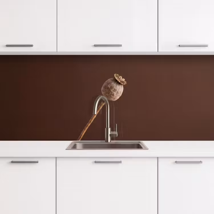 Papaverbol - Droogbloem - Bruin - Minimalistisch keuken achterwand 2 middel -3d