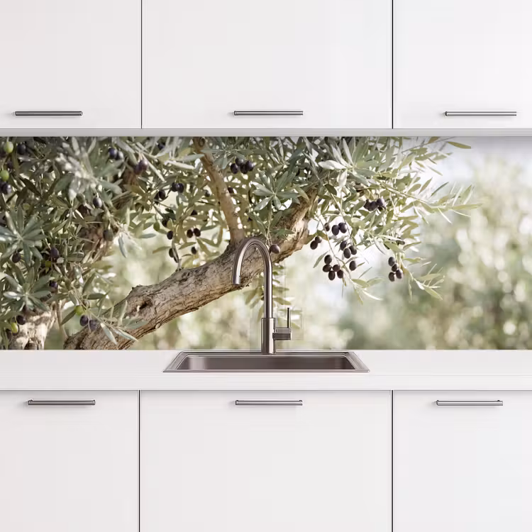 Küchenrückwand - Olivenbaum – Zweig – grün - Olijfboom - tak - groen keuken achterwand 2 middel