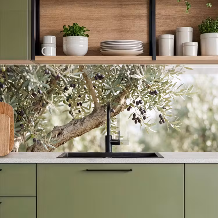 Küchenrückwand - Olivenbaum – Zweig – grün - Olijfboom - tak - groen keuken achterwand 2 middel