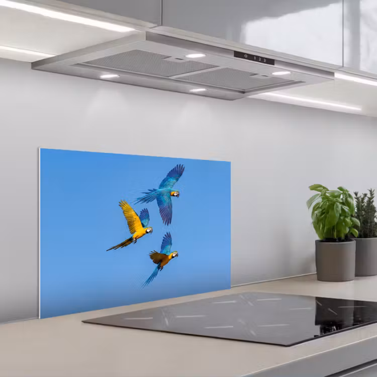 Papagaai - Vliegen - Blauw - Geel keuken achterwand spatscherm klein -3d_schuin