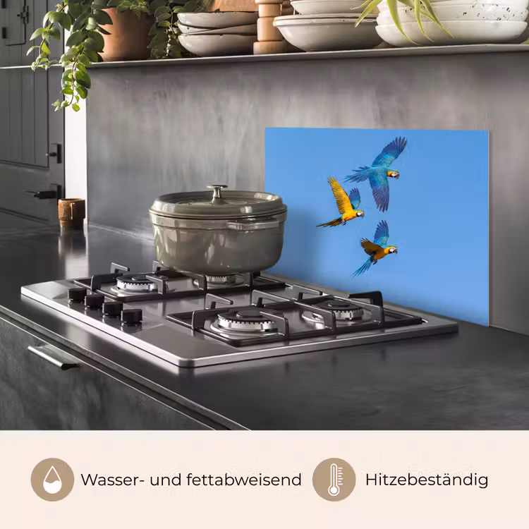 Papagaai - Vliegen - Blauw - Geel keuken achterwand spatscherm klein -usp_DE