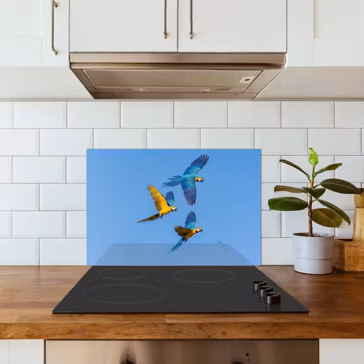 Papagaai - Vliegen - Blauw - Geel keuken achterwand spatscherm klein -sfeer2