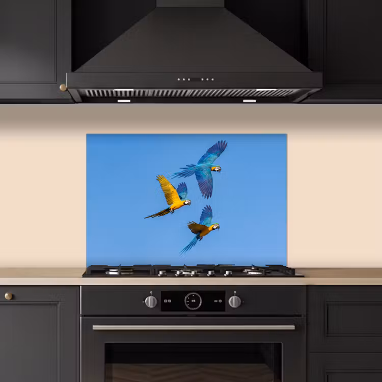 Papagaai - Vliegen - Blauw - Geel keuken achterwand spatscherm klein -sfeer1