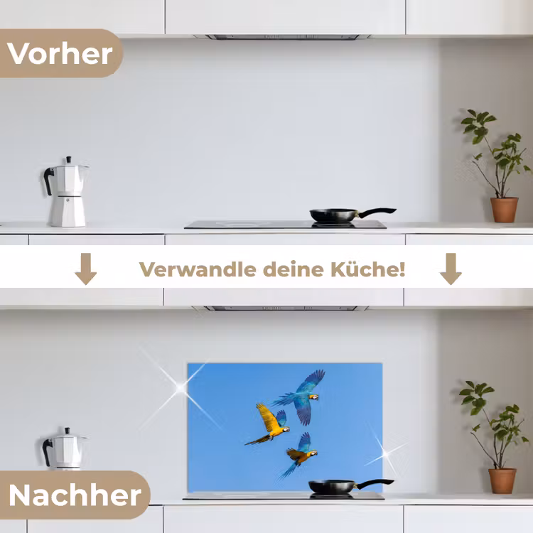 Papagaai - Vliegen - Blauw - Geel keuken achterwand spatscherm klein -voor_na_DE