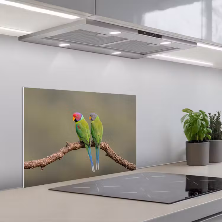 Papagaai - Tak - Natuur - Kleurrijk keuken achterwand spatscherm klein -3d_schuin