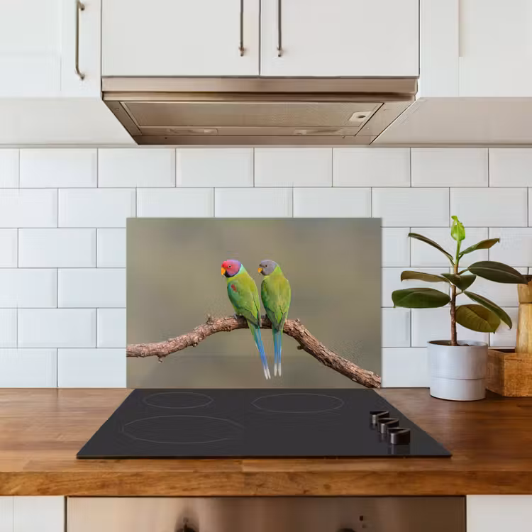 Papagaai - Tak - Natuur - Kleurrijk keuken achterwand spatscherm klein -sfeer2