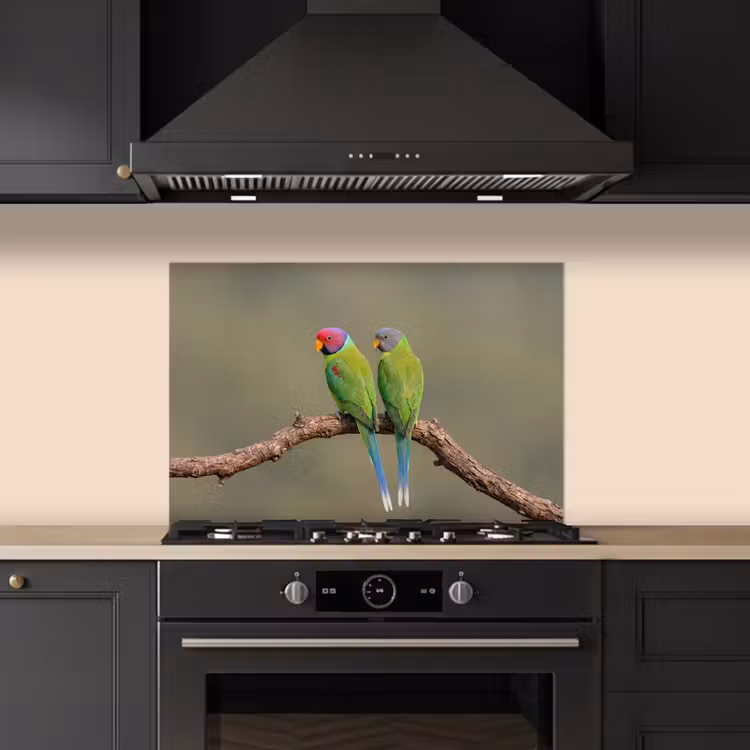 Papagaai - Tak - Natuur - Kleurrijk keuken achterwand spatscherm klein -sfeer1