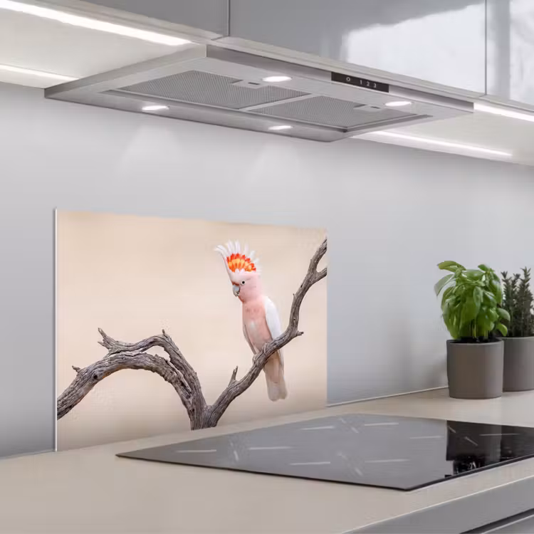 Papagaai - Tak - Roze keuken achterwand spatscherm klein -3d_schuin