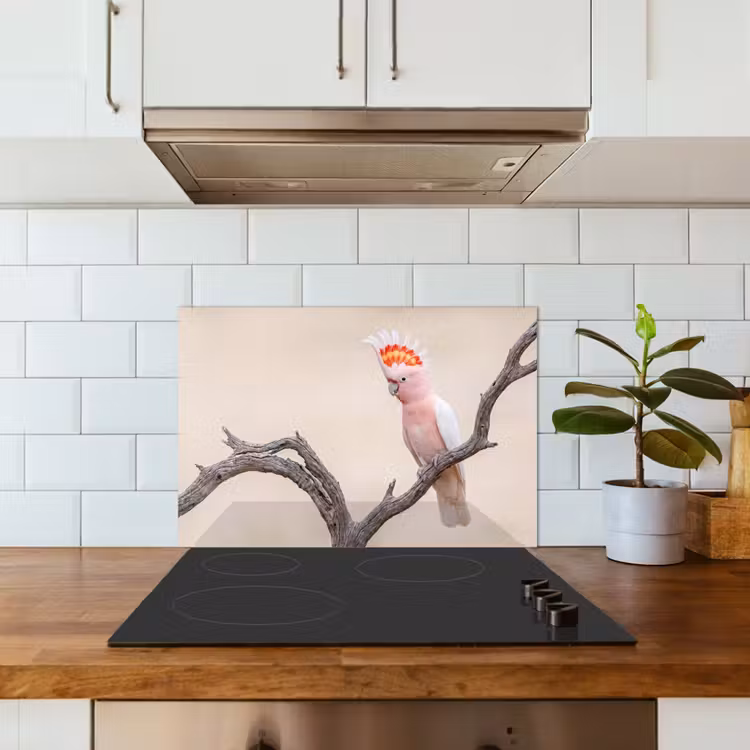 Papagaai - Tak - Roze keuken achterwand spatscherm klein -sfeer2
