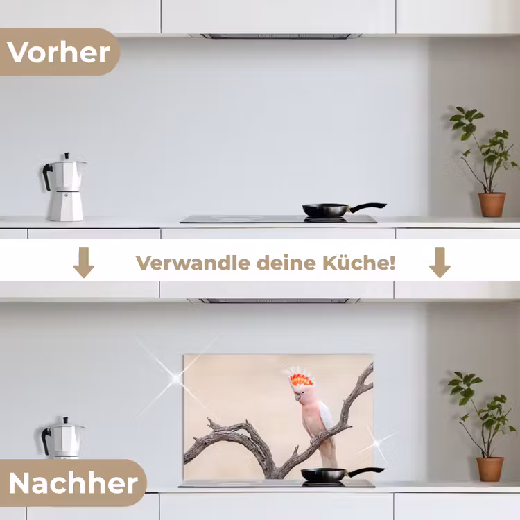 Papagaai - Tak - Roze keuken achterwand spatscherm klein -voor_na_DE