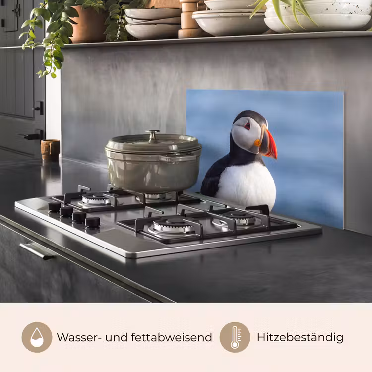 Papegaaiduiker - Portret - Natuur keuken achterwand spatscherm klein -usp_DE