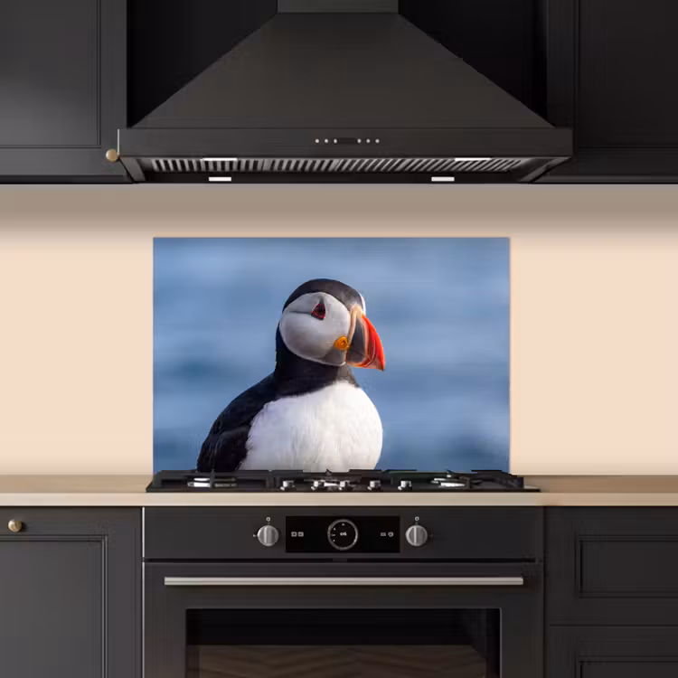 Papegaaiduiker - Portret - Natuur keuken achterwand spatscherm klein -sfeer1