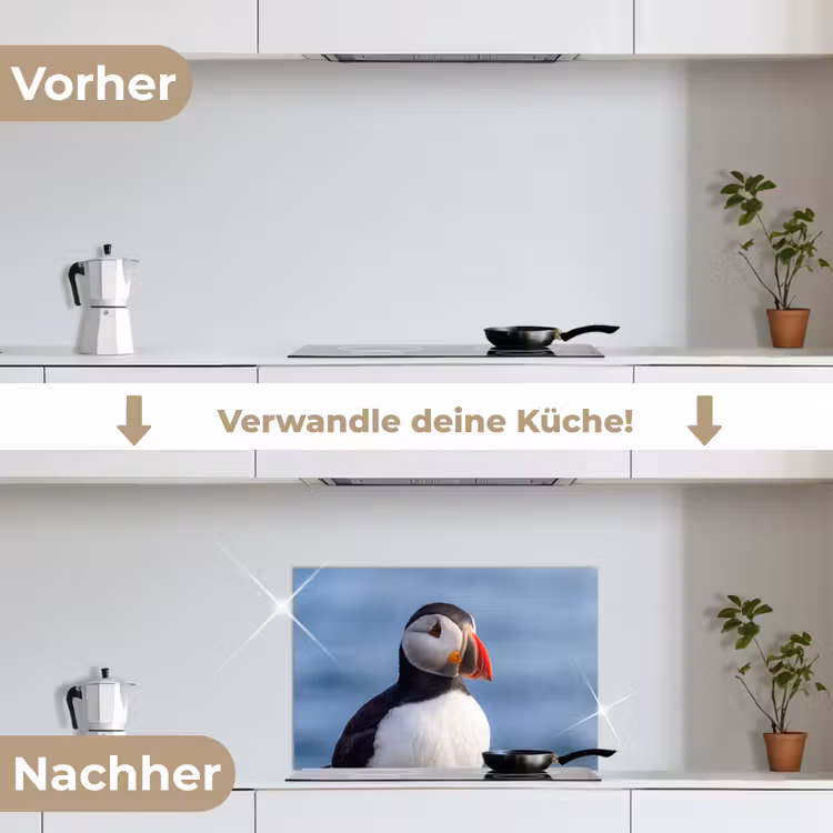 Papegaaiduiker - Portret - Natuur keuken achterwand spatscherm klein -voor_na_DE