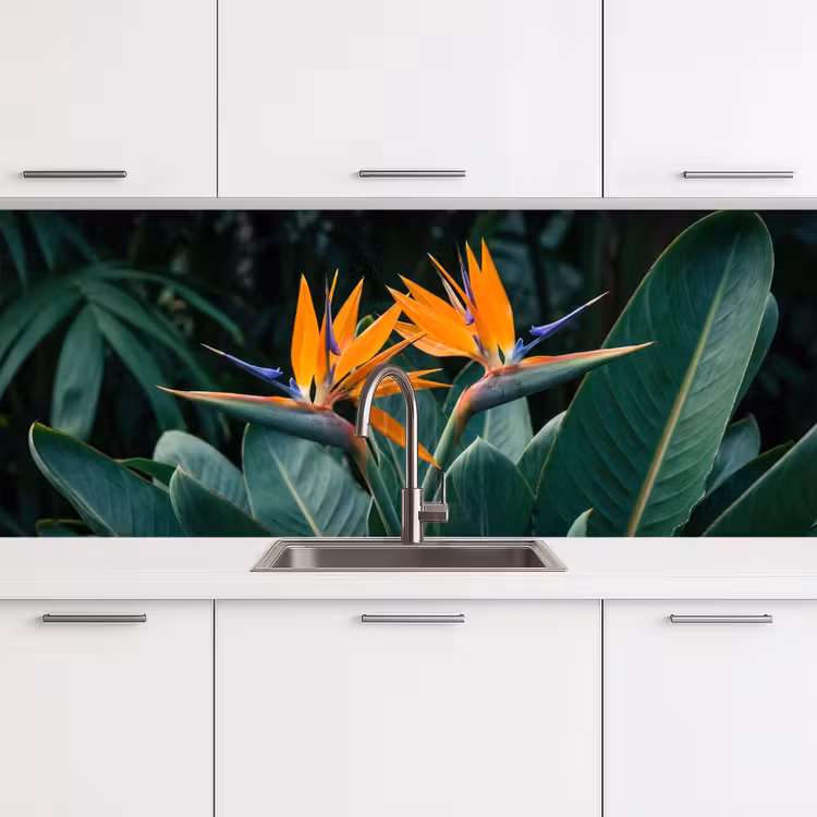 Paradijsvogel - Bloem - Exotisch keuken achterwand 2 middel -3d