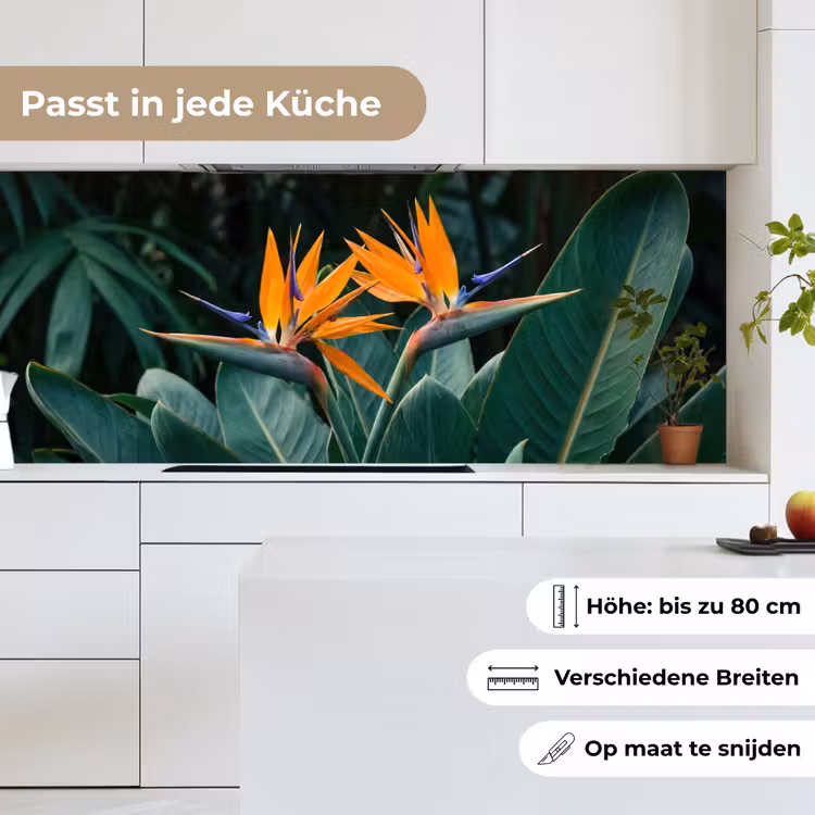 Paradijsvogel - Bloem - Exotisch keuken achterwand 2 middel -sfeer4_DE