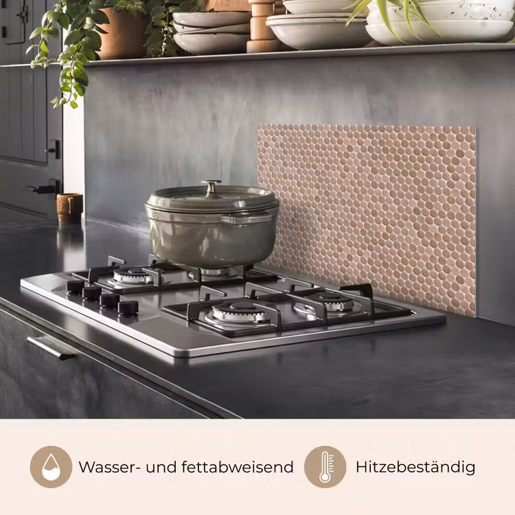 Penny - Mozaïek - Oudroze - Terracotta keuken achterwand spatscherm klein 900 -usp_DE