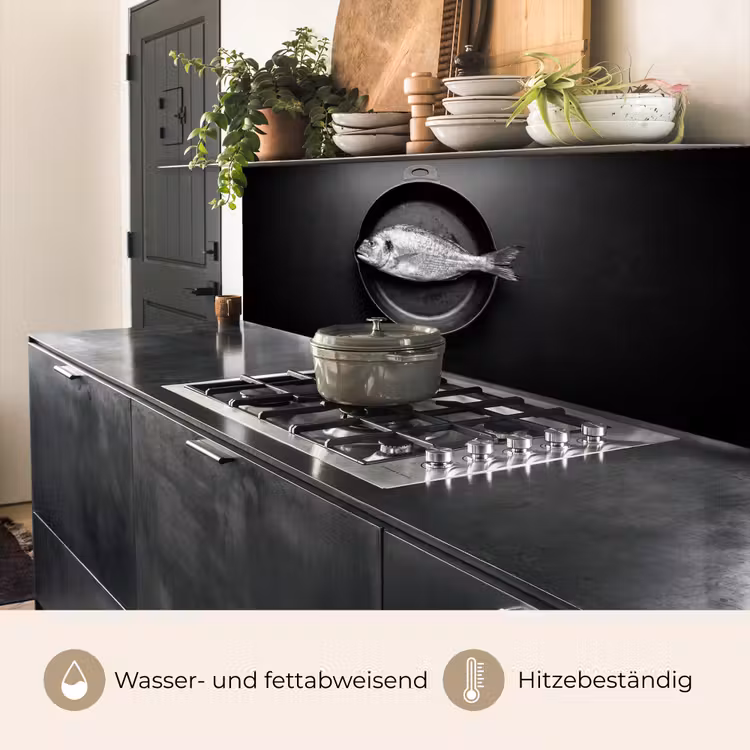 Pan - Vis - Zwart - Wit keuken achterwand 2 middel -usp_DE