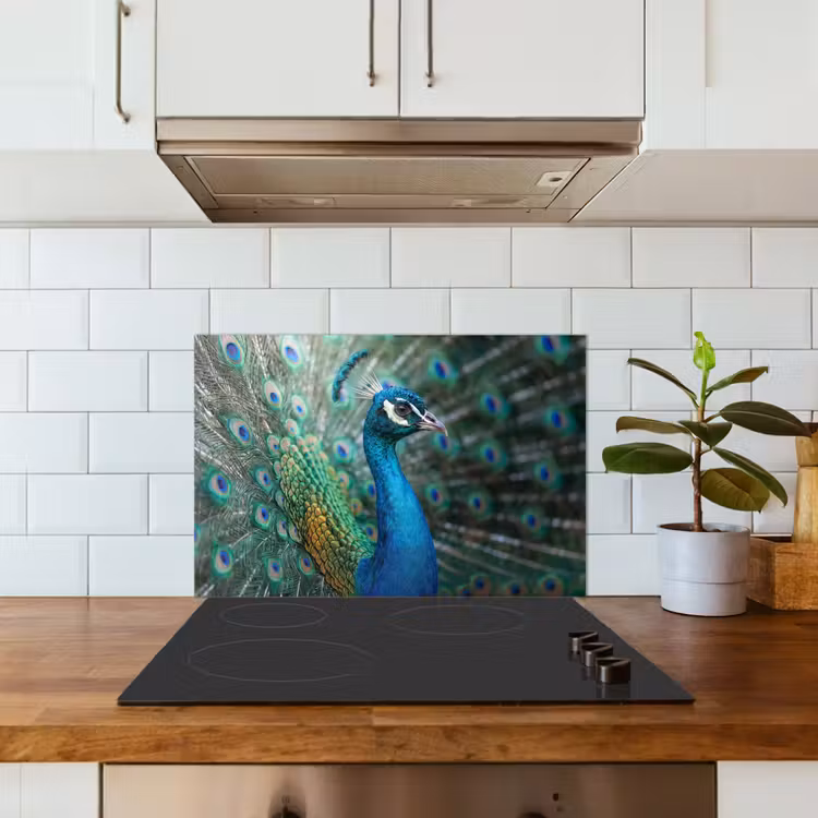 Pauw - Veren - Blauw keuken achterwand spatscherm klein -sfeer2