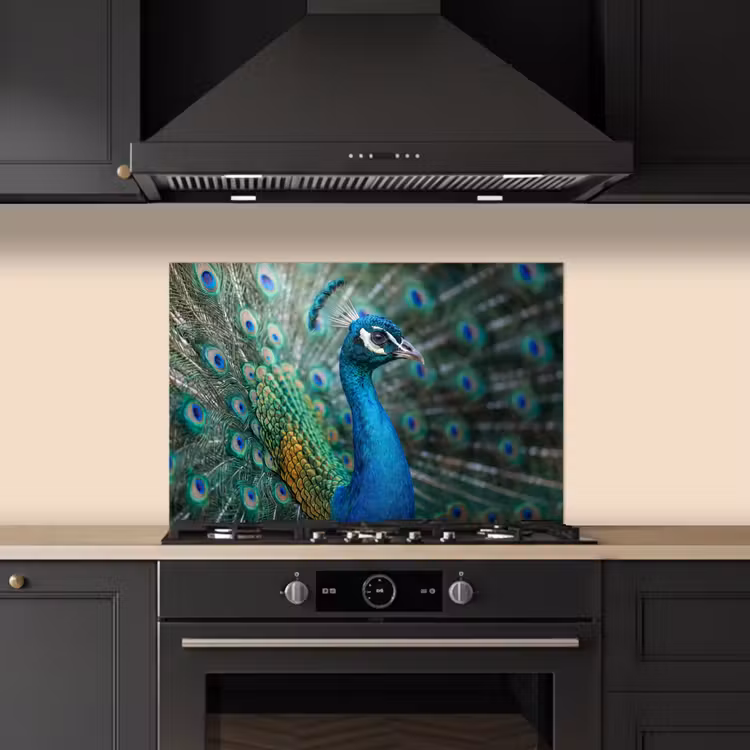 Pauw - Veren - Blauw keuken achterwand spatscherm klein -sfeer1