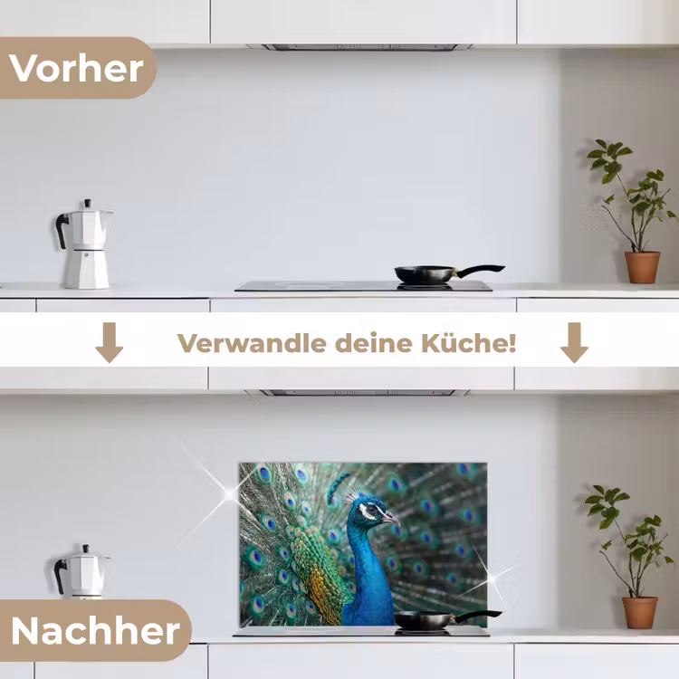 Pauw - Veren - Blauw keuken achterwand spatscherm klein -voor_na_DE
