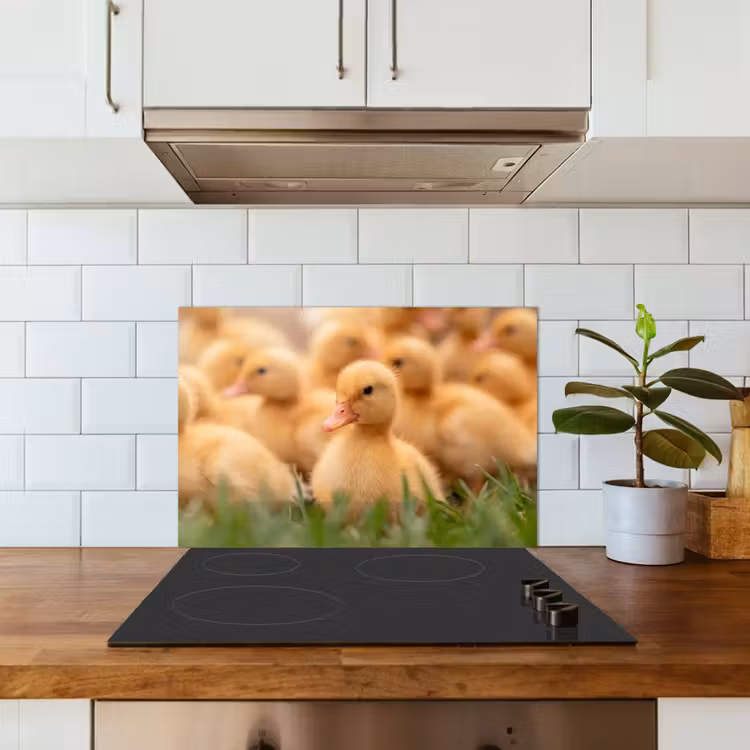 Pijltje - Eend - Natuur - Geel keuken achterwand spatscherm klein -sfeer2
