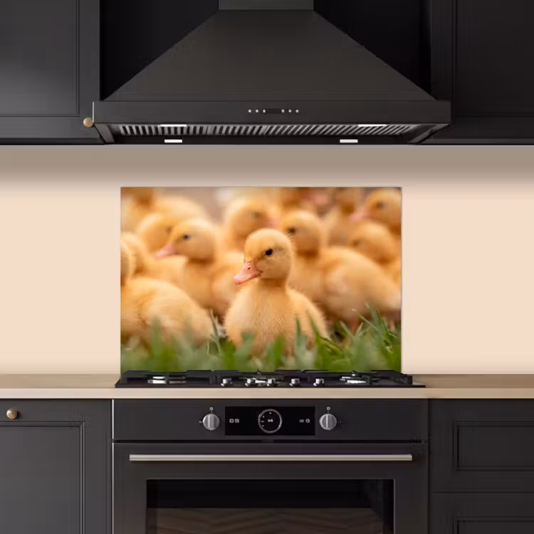 Pijltje - Eend - Natuur - Geel keuken achterwand spatscherm klein -sfeer1