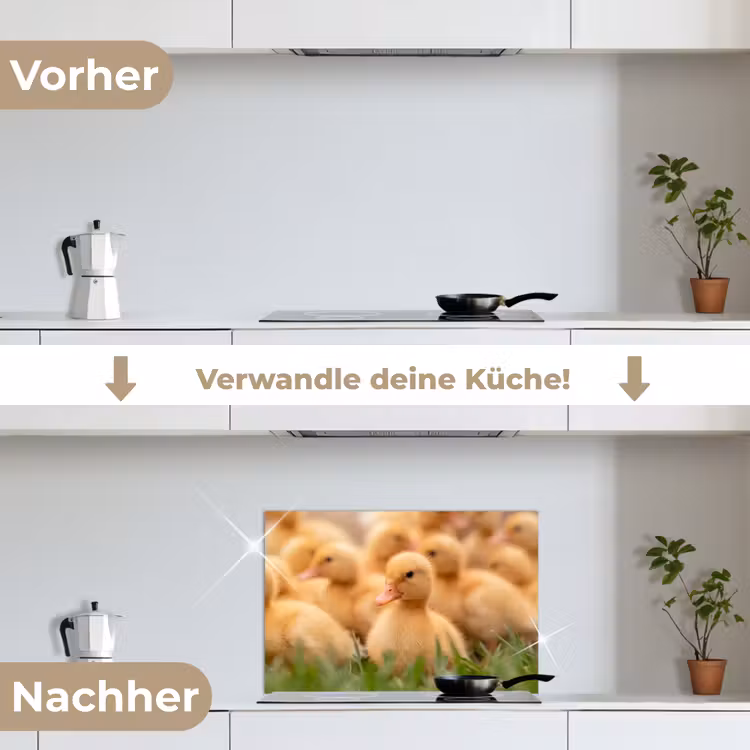 Pijltje - Eend - Natuur - Geel keuken achterwand spatscherm klein -voor_na_DE