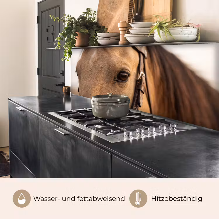 Paard - Oog - Bruin keuken achterwand 2 middel -usp_DE