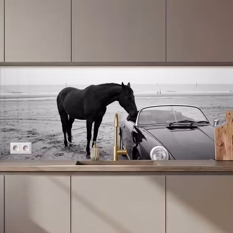 Paard - Auto - Zwart - Wit keuken achterwand 2 middel zz_3dshopping