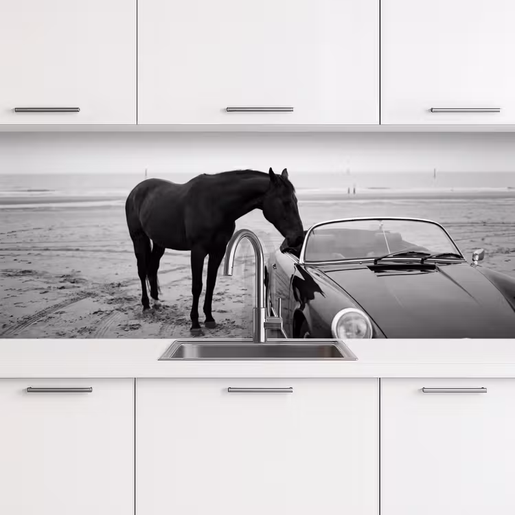 Paard - Auto - Zwart - Wit keuken achterwand 2 middel -3d