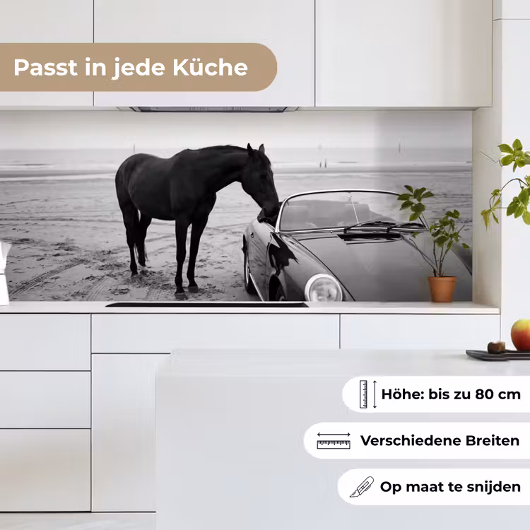 Paard - Auto - Zwart - Wit keuken achterwand 2 middel -sfeer4_DE