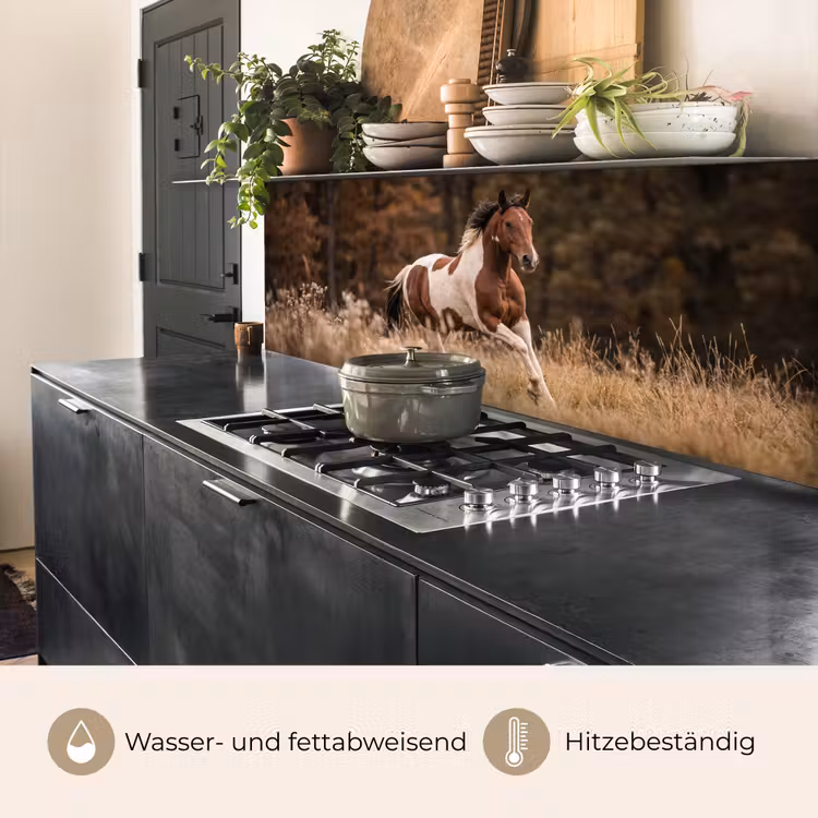 Paard - Bruin - Gras keuken achterwand 2 middel -usp_DE