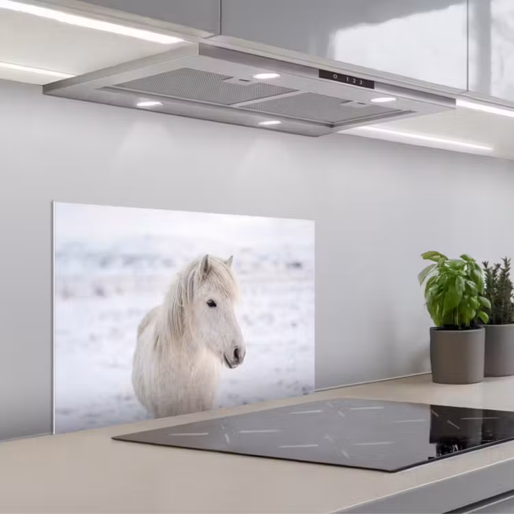 Paard - Kop - Winter - Dieren - Wit keuken achterwand spatscherm klein -3d_schuin
