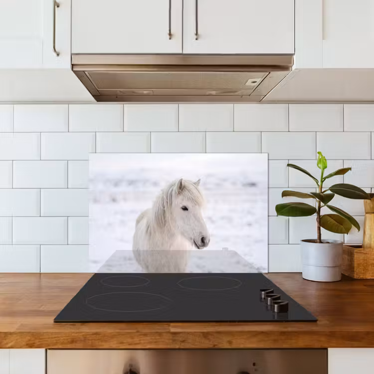 Paard - Kop - Winter - Dieren - Wit keuken achterwand spatscherm klein -sfeer2
