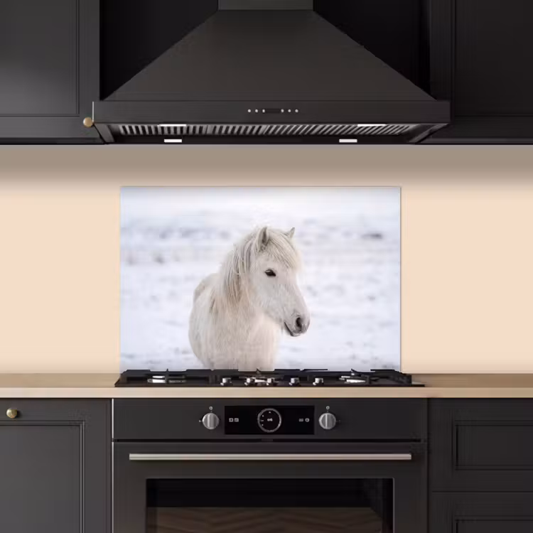 Paard - Kop - Winter - Dieren - Wit keuken achterwand spatscherm klein -sfeer1