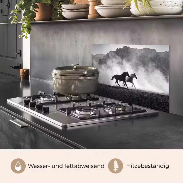 Paard - Ren - Stof - Zwart-wit - Dieren keuken achterwand spatscherm klein -usp_DE