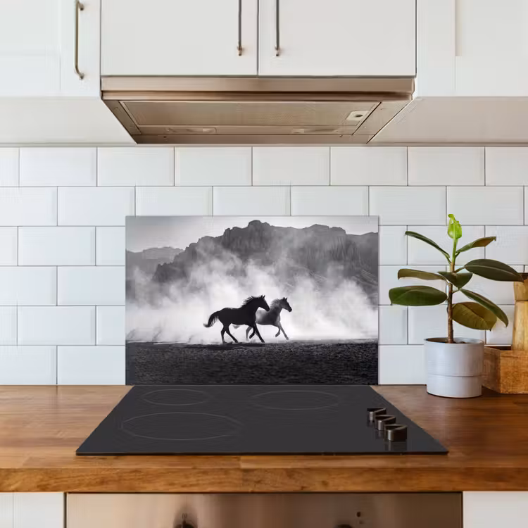 Paard - Ren - Stof - Zwart-wit - Dieren keuken achterwand spatscherm klein -sfeer2