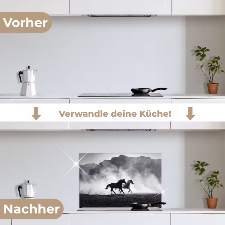 Paard - Ren - Stof - Zwart-wit - Dieren keuken achterwand spatscherm klein -voor_na_DE