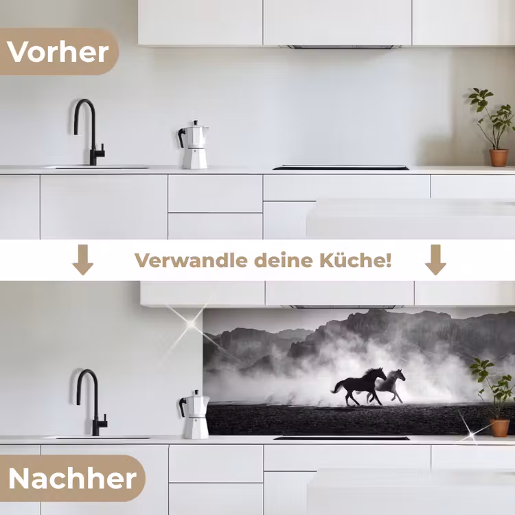 Paard - Ren - Stof - Zwart-wit - Dieren keuken achterwand 2 middel -voor-na_DE