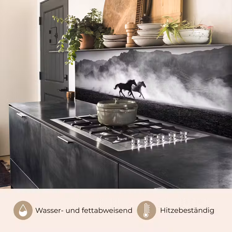 Paard - Ren - Stof - Zwart-wit - Dieren keuken achterwand 2 middel -usp_DE