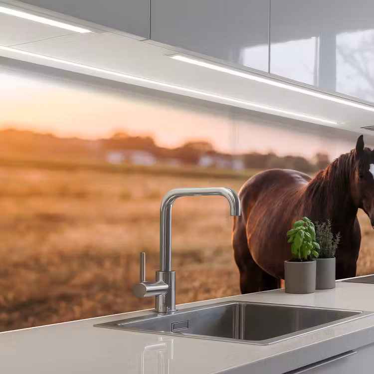 Paard - Zonsondergang - Bruin keuken achterwand 2 middel -3d_schuin